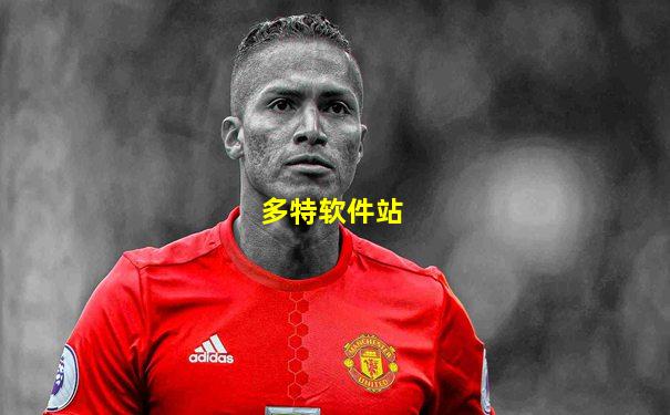 多特软件站