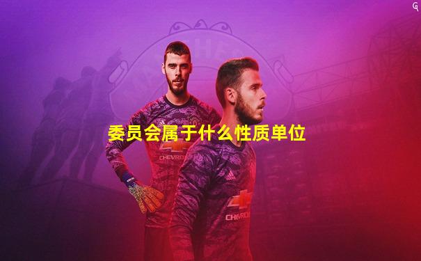 委员会属于什么性质单位