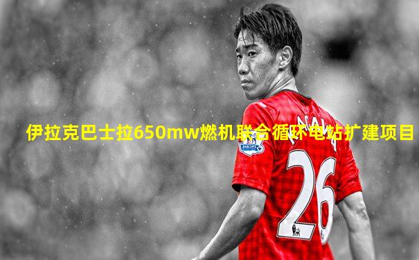 伊拉克巴士拉650mw燃机联合循环电站扩建项目