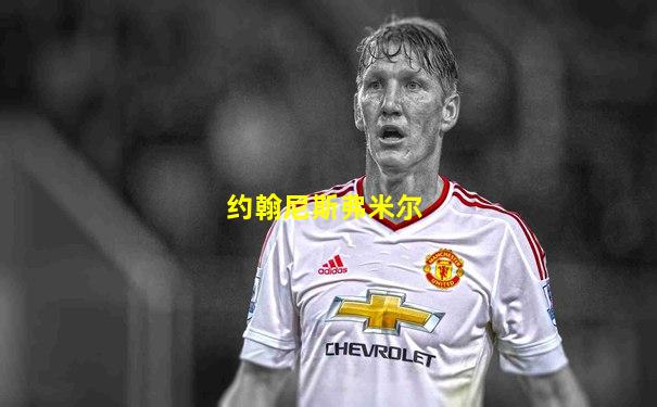 约翰尼斯弗米尔